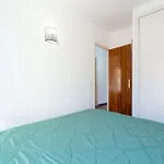 Basic Comfort Gran Reserva 0064 Empuriabrava